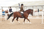SBM_18158