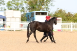 SBM_16594