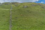 Settle Hills-974