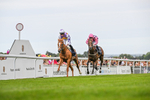 140824-Race 2-Stanhope Gardens-3486
