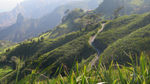 St Helena Island view