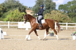 SBM_016039