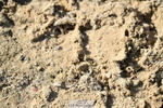 251004A-153315-01874