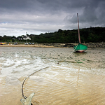 Anchord