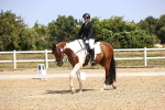 SBM_010543