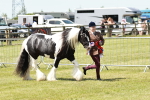 SBM_05552