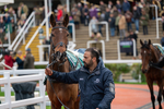 Race 2 portfolio