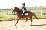 SBM_000581