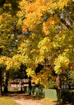 Bronte Park, Burlington