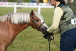 DSC05030