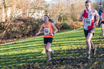 Cumbria XC-80