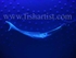 Lumo Marlin Bone Carving.