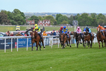 120526-Race 5-Coolree-8749