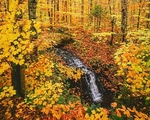 Istock #21500942
