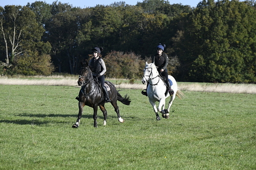 _DSC3931