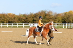 SBM_000233