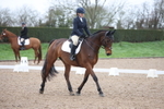 Unaffiliated Dressage portfolio