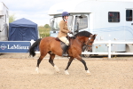 SBM_06186