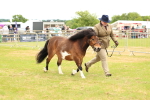 SBM_04385
