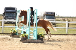 SBM_002213
