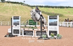 BPP_7902