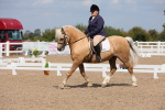 SBM_04019