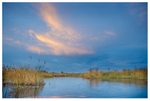 Okavango Sunset