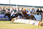 SBM_16719