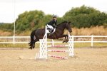 SBM_005264