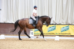 SBM_001036