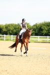 0B8A5519