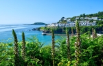 Looking down on Looe Beach from the coast path