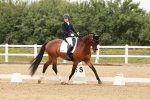 SBM_009196