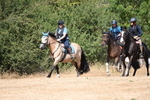 WJ6_9013