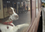 Ted's Brief Encounter