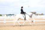 SBM_03394