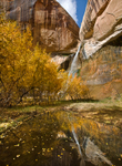 Lower Calf Creek Falls Reflection