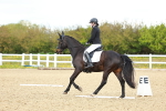 SBM_000661