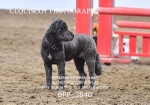 BPP_3840