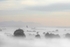 Misty  morning 