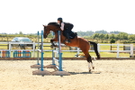 SBM_007023