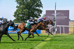 160726-Race 4-Park Lane Penny-4695