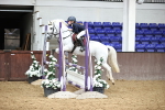 SBM_000653