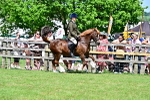 SBM_07891