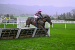 141125-Race 5-Heads Up-0948