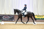 SBM_004045