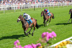 120725-Race 4-Al Qareem-5797
