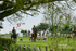 _96U0524a