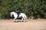 WJ6_7001