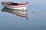 Reflection